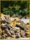 BASIC OMEGA 3